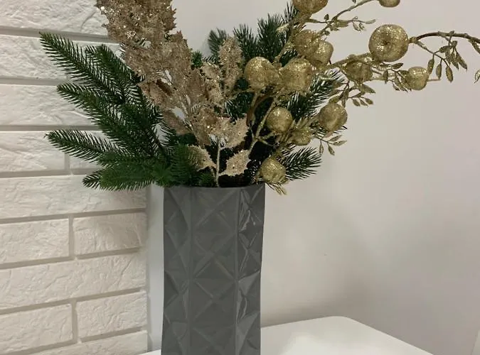 Apartmán уютная в центре львова Lvov